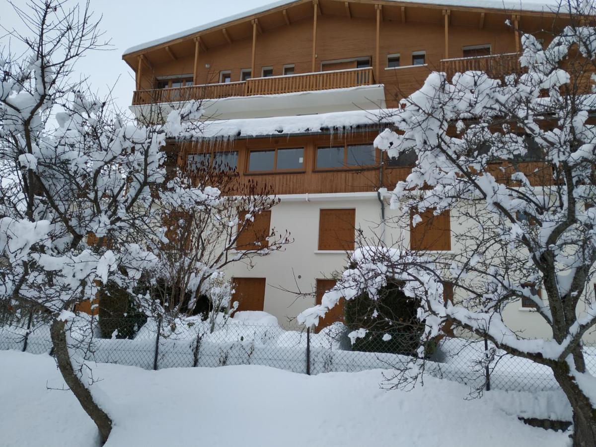 Appartement Rez De Jardin Montee De L'Alpe D'Huez La Garde  Exterior photo